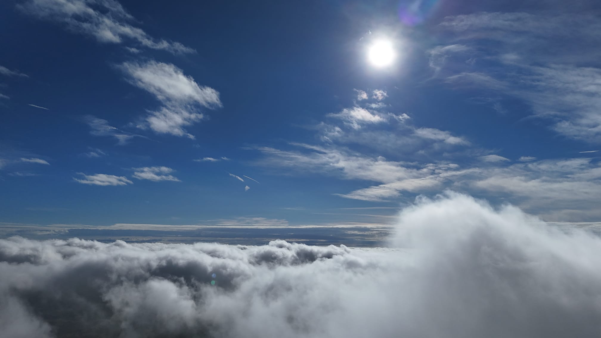 C8234265 5B6B 4A99 A221 5162Df4054Cd