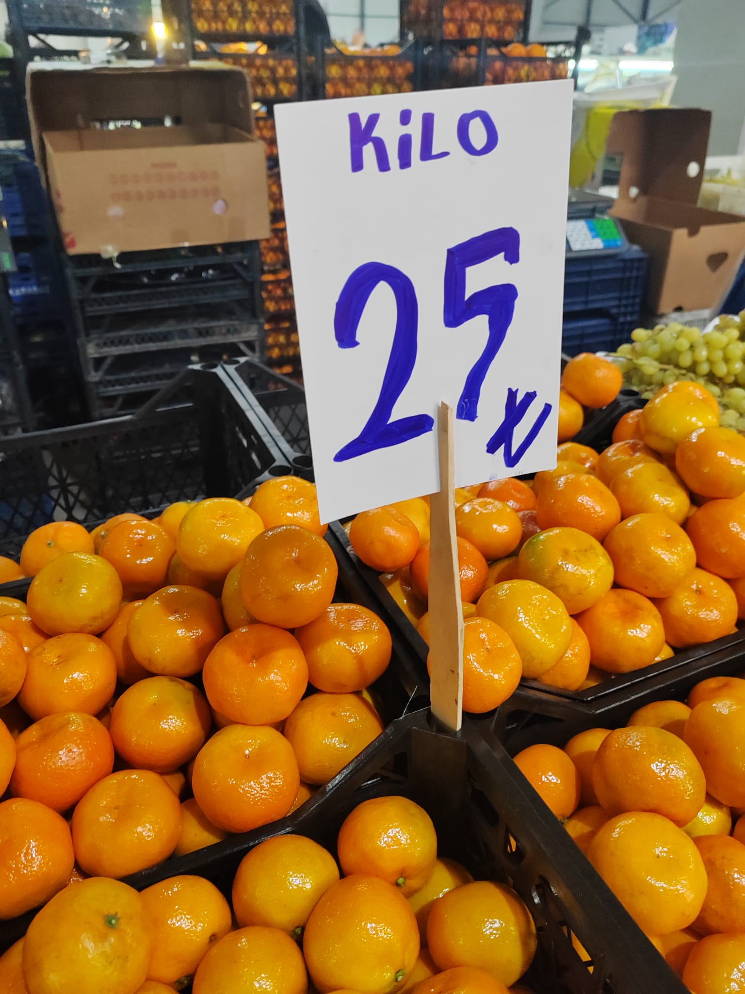 Ed4Ffc7D Eb74 4Bed B96F 48Cc17416A65