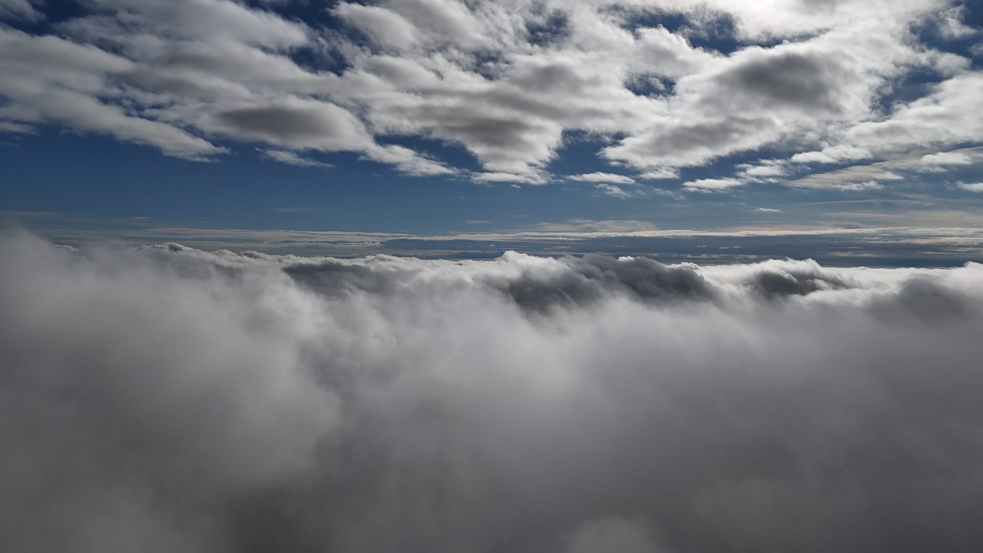 Eeea9D2B E22E 4003 A002 A960F0E3C149