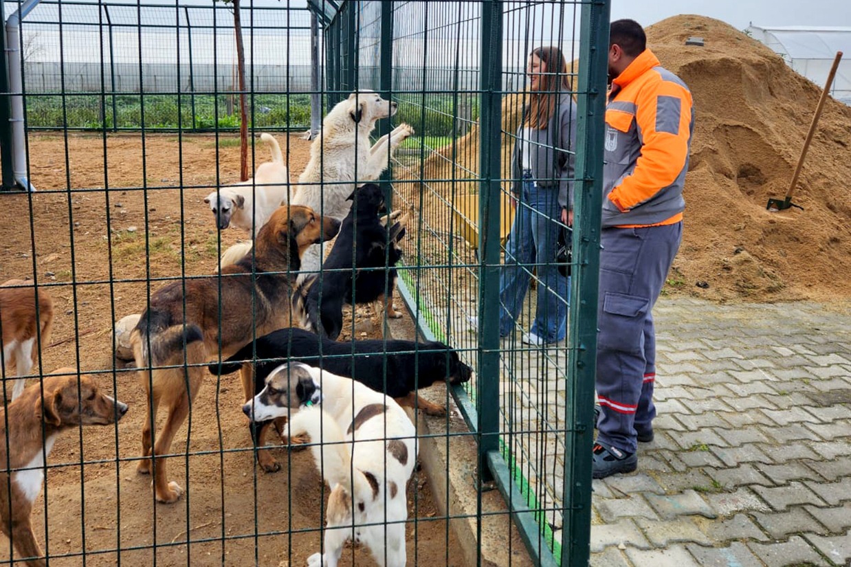 Luleburgazmyo R 12 12 2025 Ca922