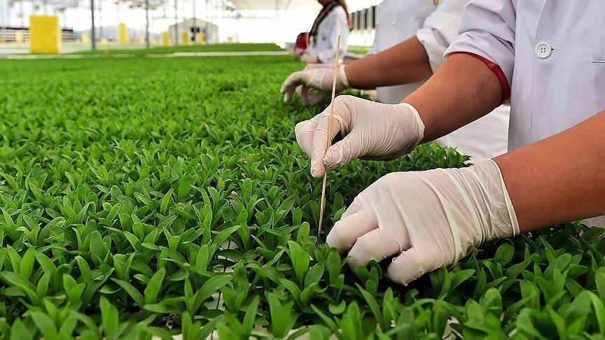 Thumbs B C 92D343031Ff2Bf6A2F0A24F3Cc7B0A87