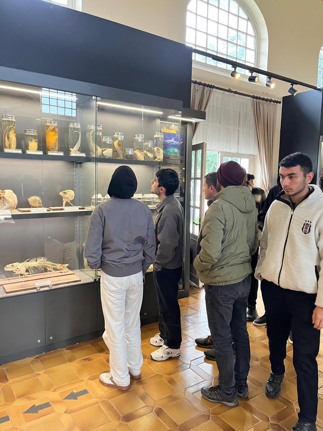 📍 Yeşil Gençlik Projesi Kapsamında Misafirlerimizi Ağırladıkdoktor Sadık Ahmet Gençlik Merkezi (6)