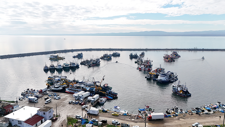 06 2025 01 A R A L I K 08 20251213 2 72045734 120124563