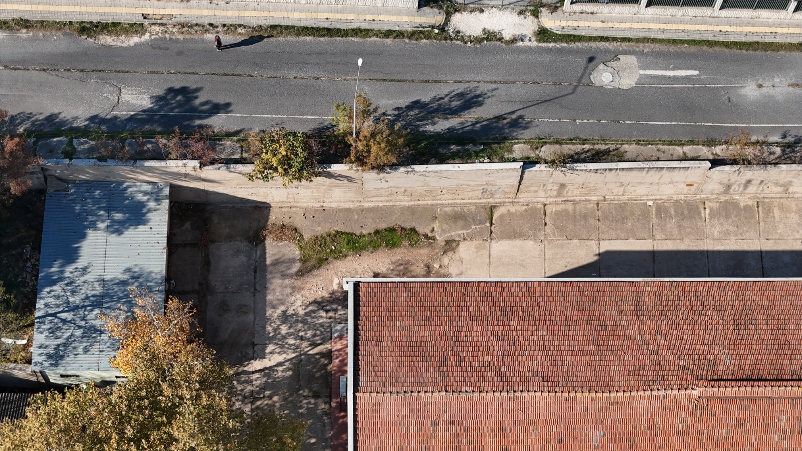 13487828 039B 45Ce 8817 Db3Cb65842C5