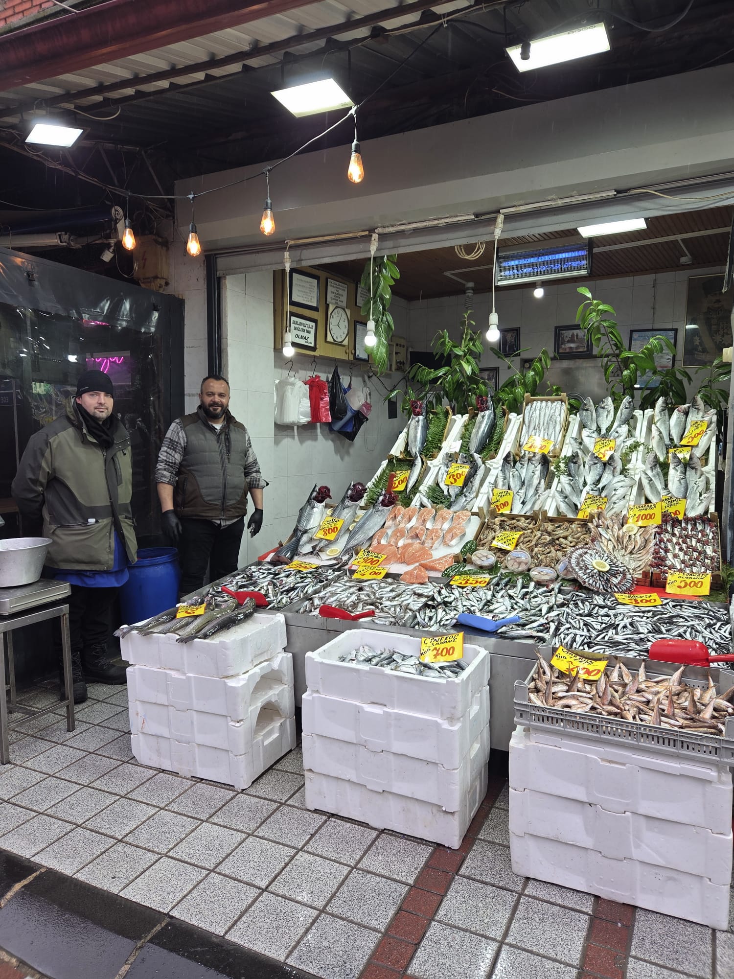 1443E4E8 De42 4F00 99E8 F9E8Cabb2348