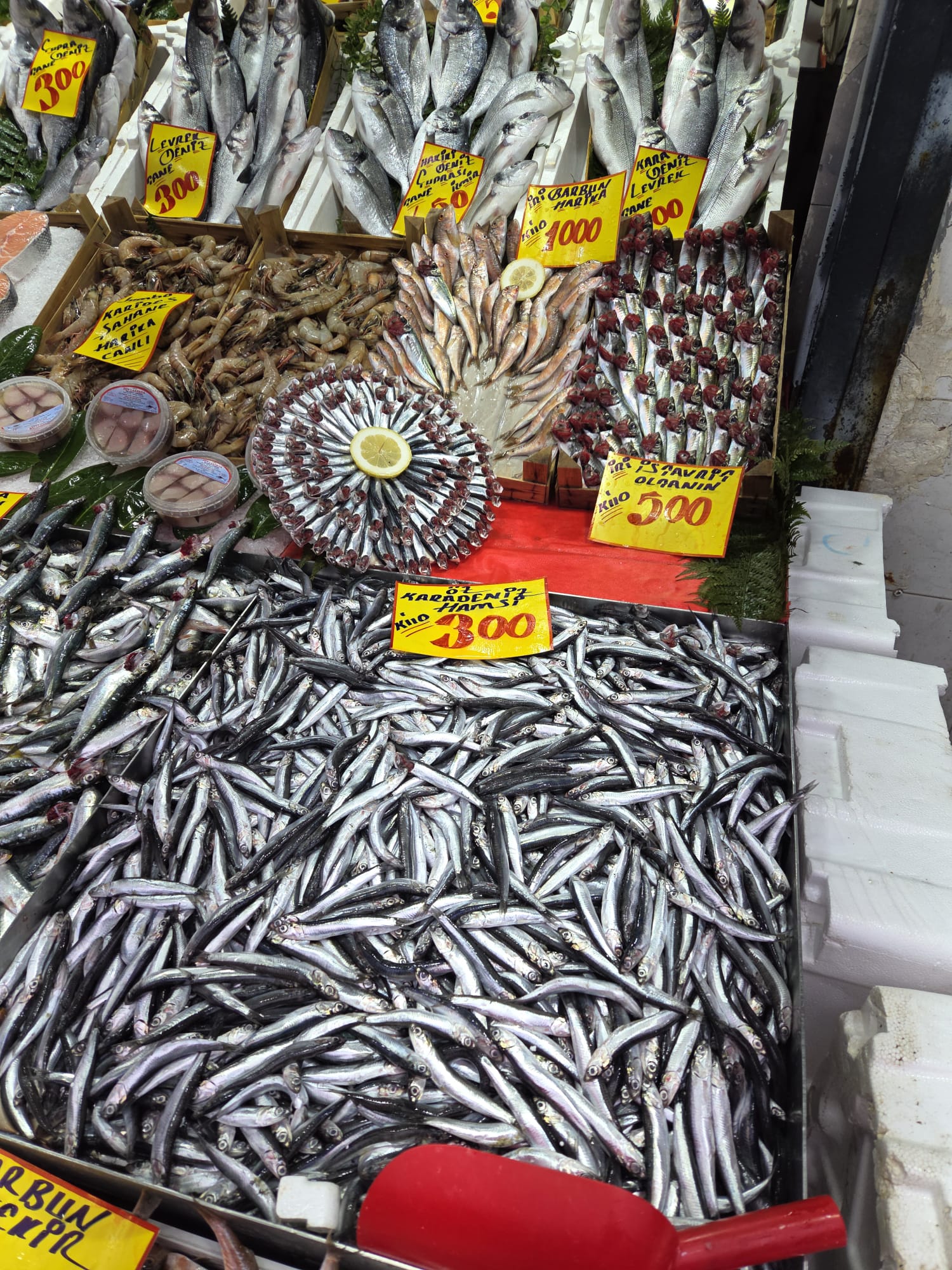 322769D6 7Da0 4624 B28F 1Da3C389Ed47