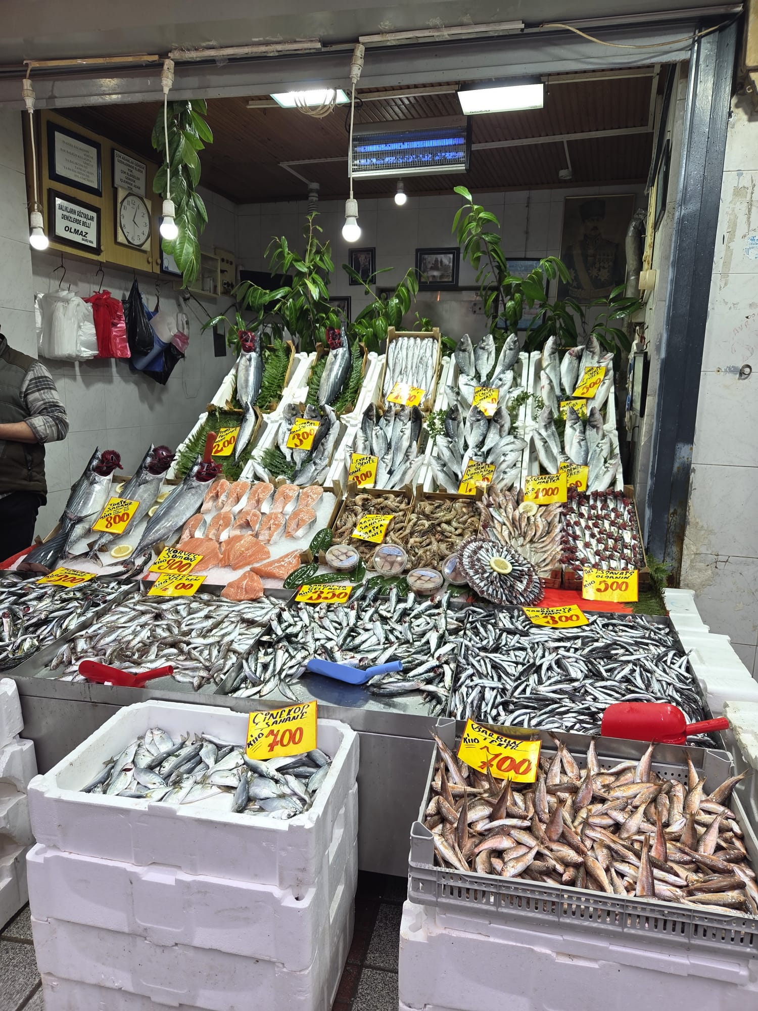 3F7532Eb 06B4 440E 9954 9433B1Cd202E