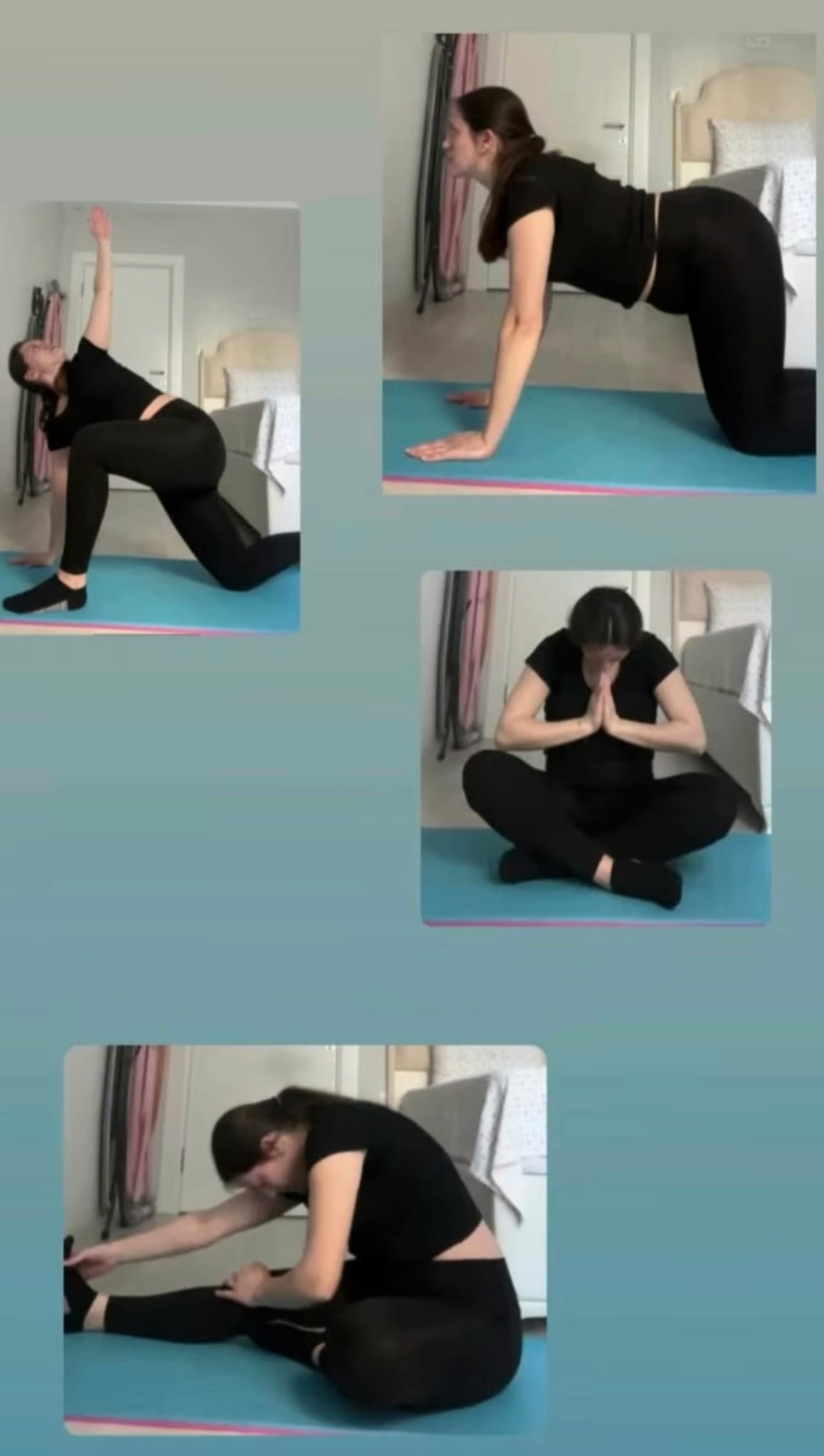 44508602 7819 437E 81A3 Dbae8A4D7E2E