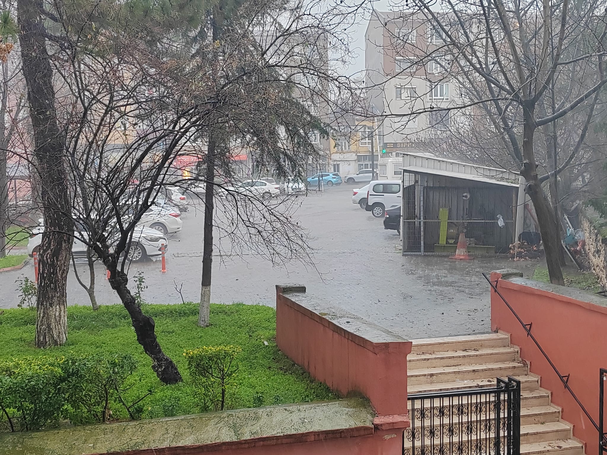 4Dc456Fb Bb64 46Ba A53F 4D47919Fcf3C