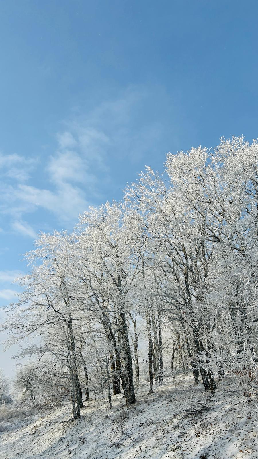 526E83Ee E8Ac 4D1C 9407 267D2Eb4595A