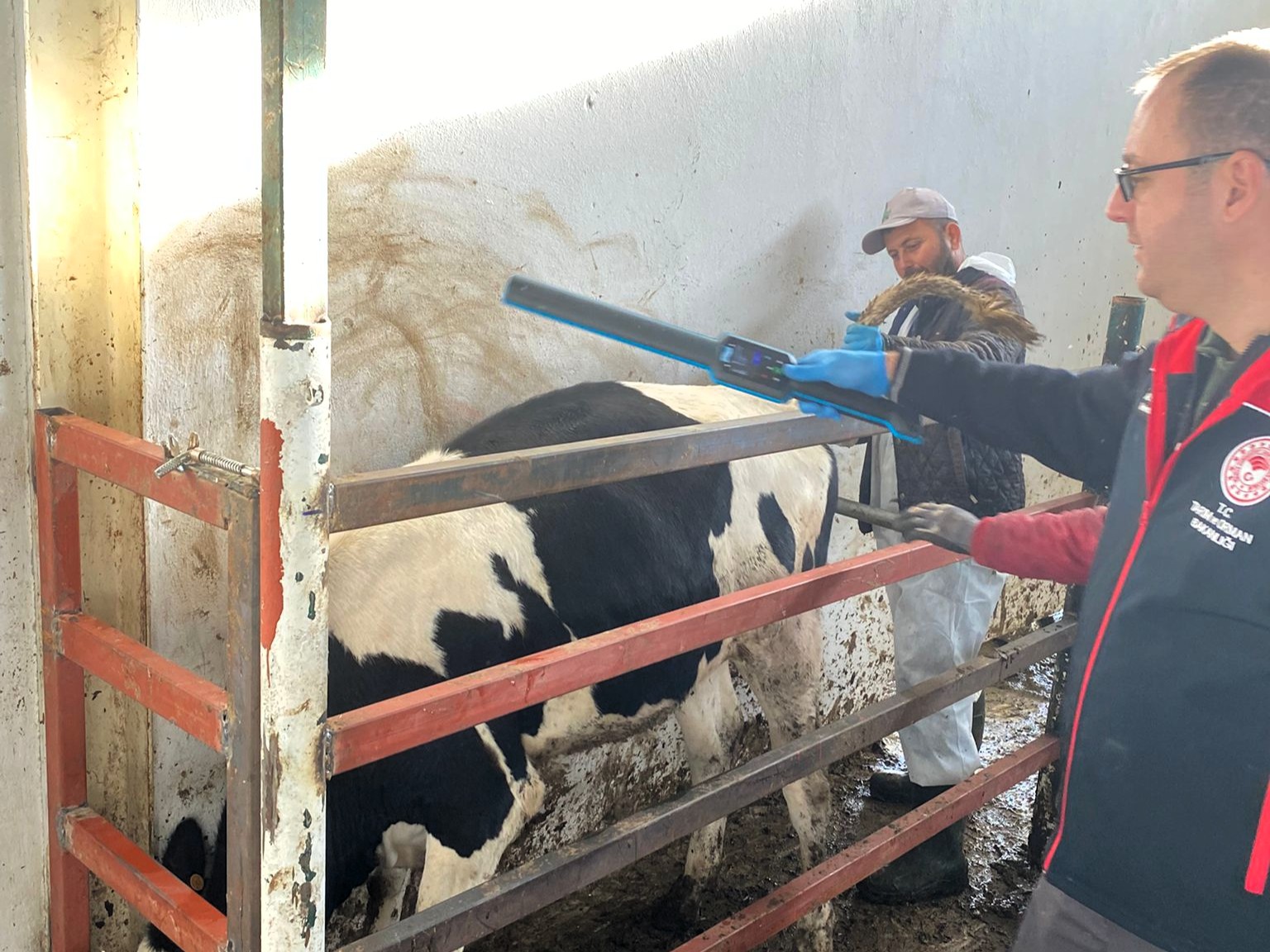 608889323 1329023839239278 877541534349852067 N