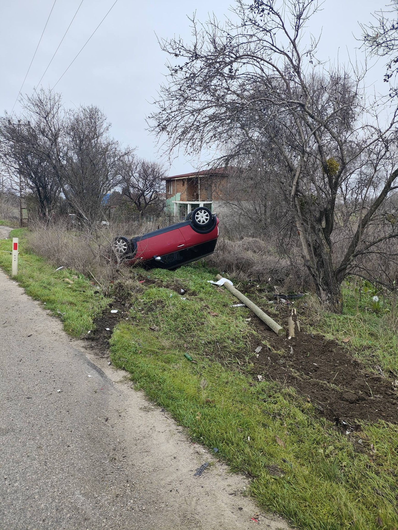 616812562 1409234184156835 1287124373661304368 N