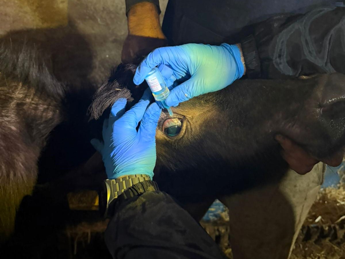 623359500 1350506083757720 7005144852891004735 N