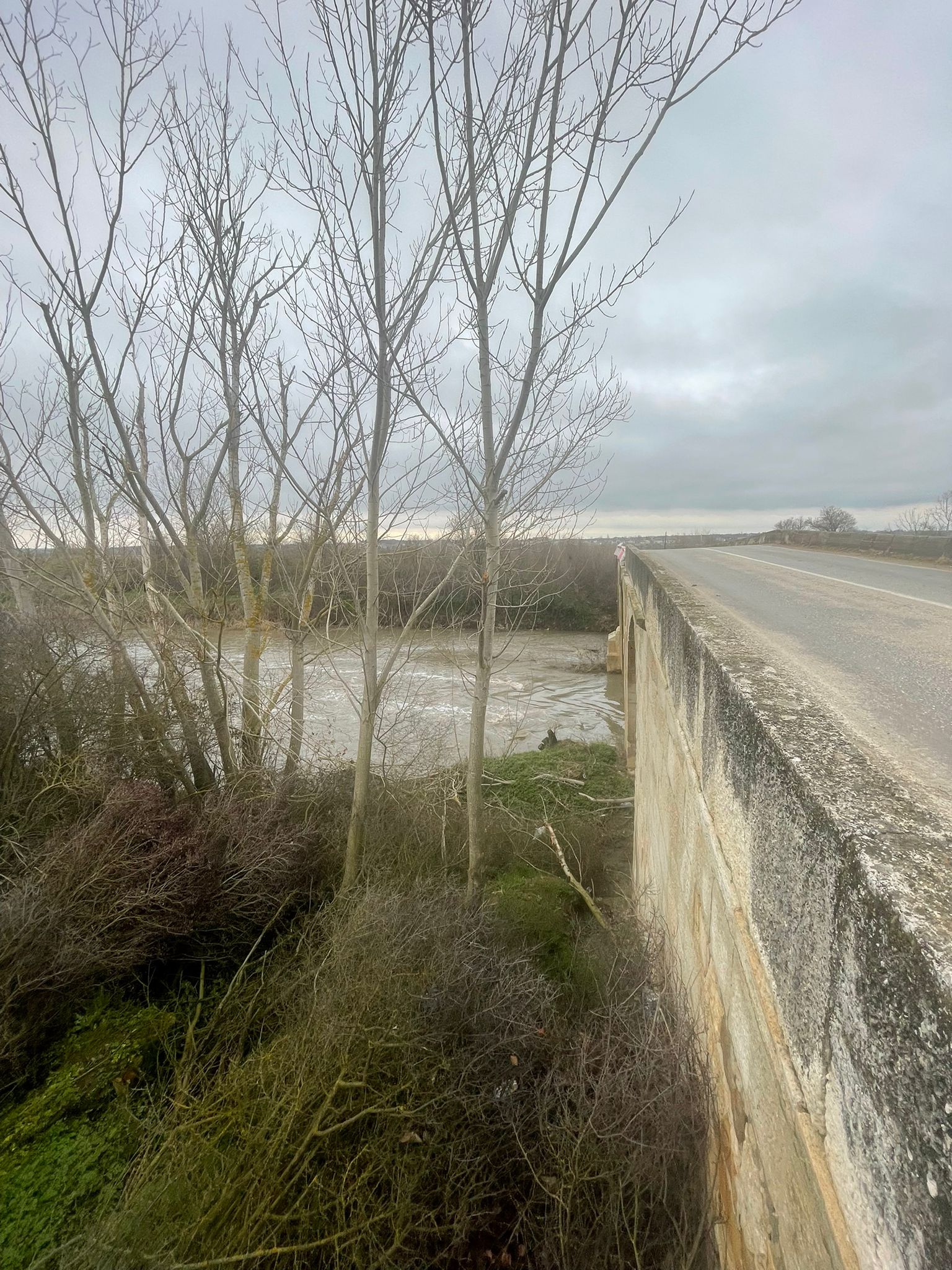 85B0A6F7 351F 42F1 8Adc Ba8198274Fcf