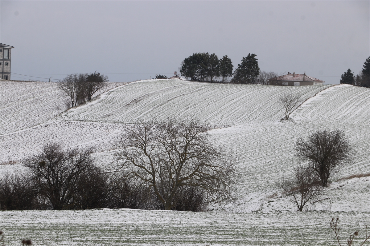 A A 20260114 40249821 40249817 T R A K Y A D A K A R Y A G I S I T A R I M A R A Z I L E R I N E C A N S U Y U O L D U