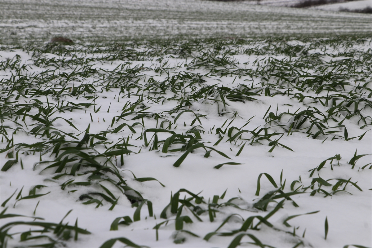 A A 20260114 40249821 40249818 T R A K Y A D A K A R Y A G I S I T A R I M A R A Z I L E R I N E C A N S U Y U O L D U