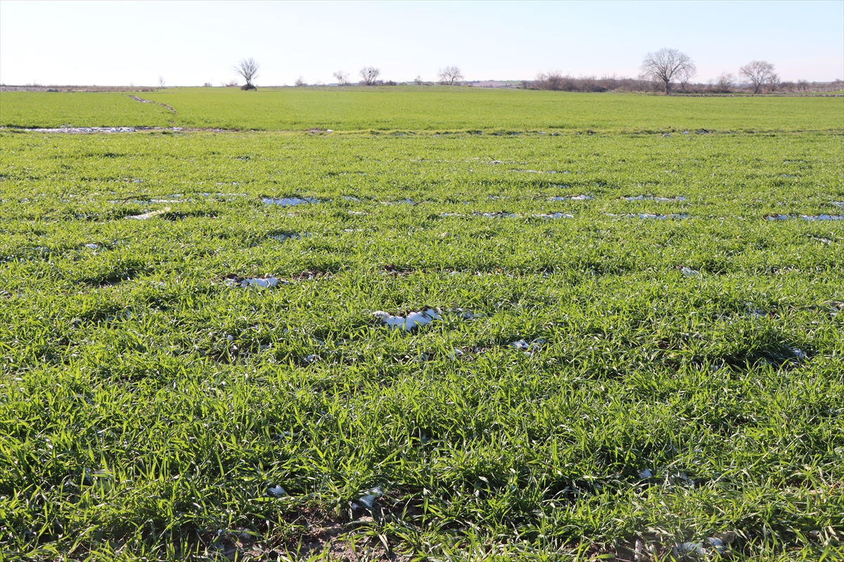 A A 20260114 40251325 40251323 T R A K Y A D A K A R Y A G I S I T A R I M A R A Z I L E R I N E C A N S U Y U O L D U