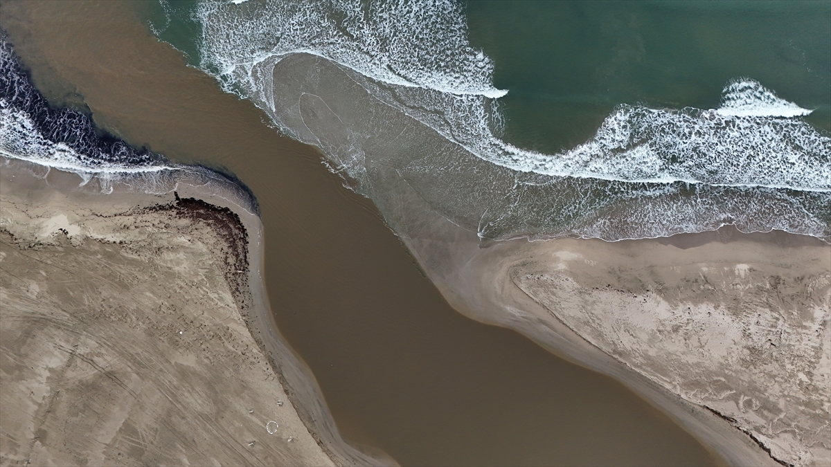 A A 20260124 40350963 40350961 K I R K L A R E L I N D E M E R T G O L U Y E N I D E N D E N I Z L E B I R L E S T I