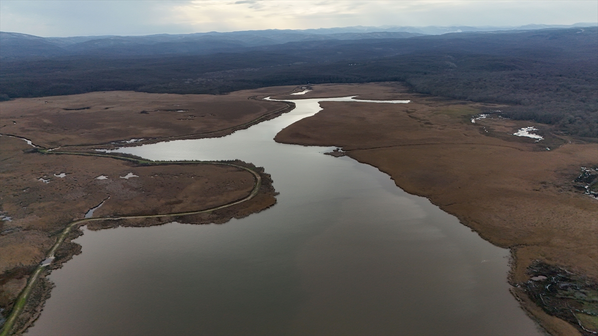 A A 20260124 40350963 40350962 K I R K L A R E L I N D E M E R T G O L U Y E N I D E N D E N I Z L E B I R L E S T I