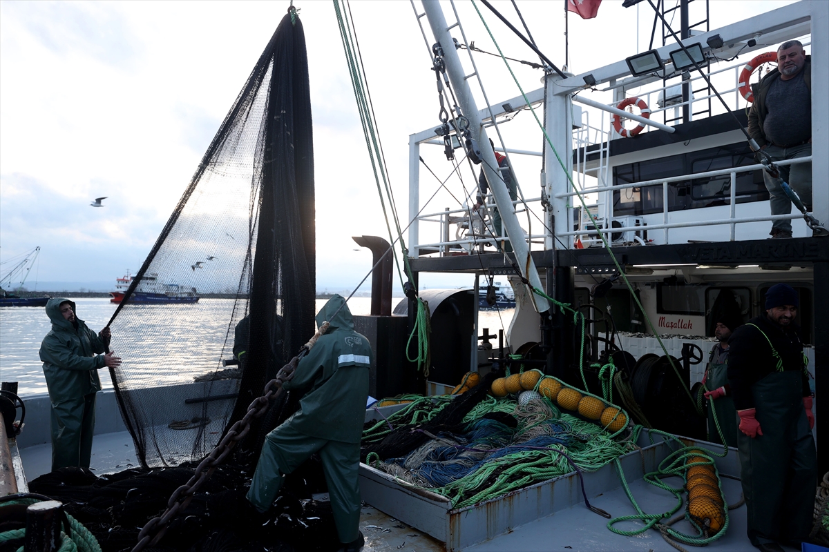 A A 20260129 40397538 40397537 I G N E A D A A C I K L A R I N D A H A M S I B E R E K E T I