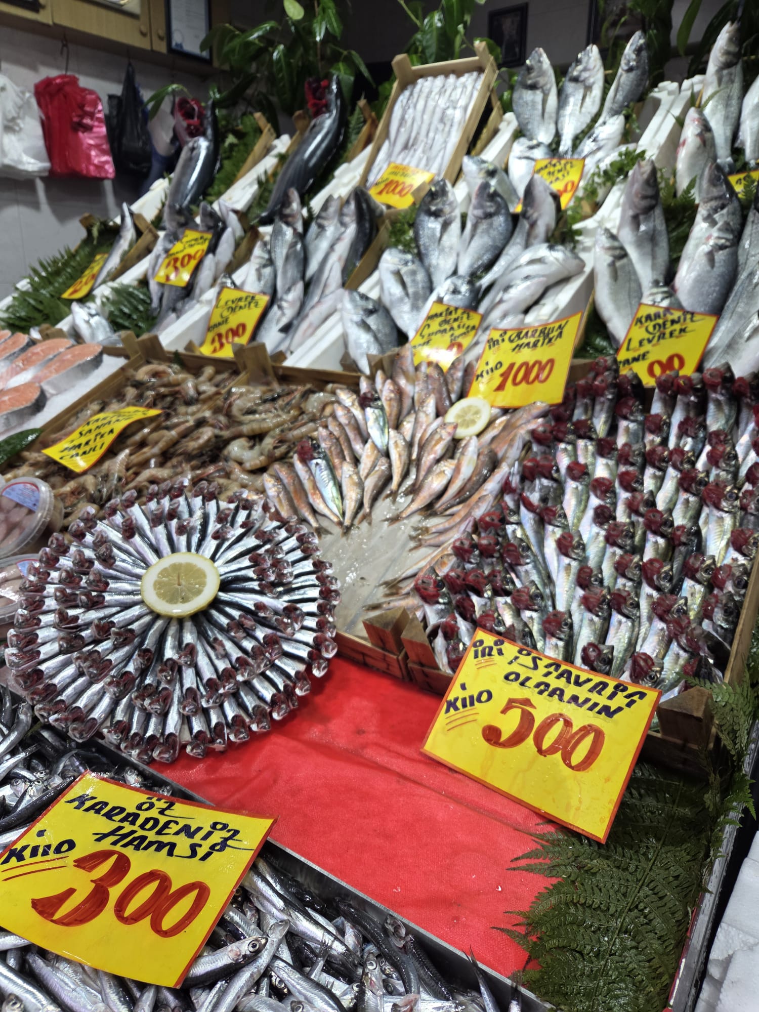 A5E87C81 900F 43C4 9759 B9De3D5F97D8