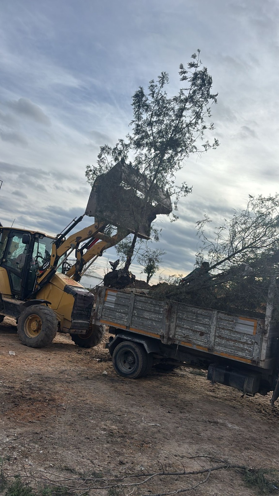 D7Ceaf8B 261E 4842 8Ada 8Ba7Da73B316