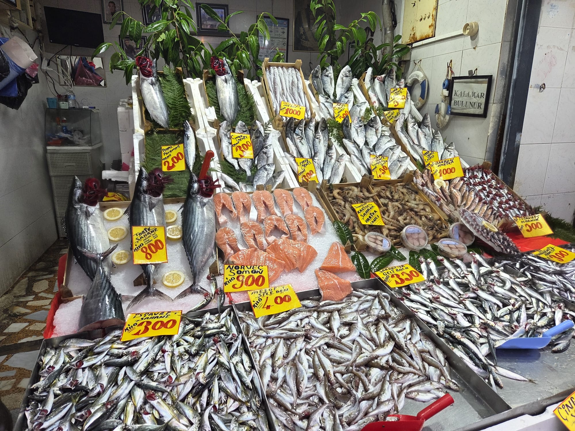 Fb979F1B D15E 4Cc7 8996 2D729Ca130E7