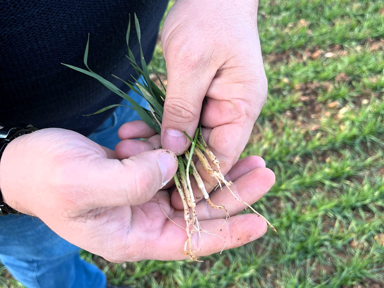 624459727 1350511587090503 5726074076964143691 N