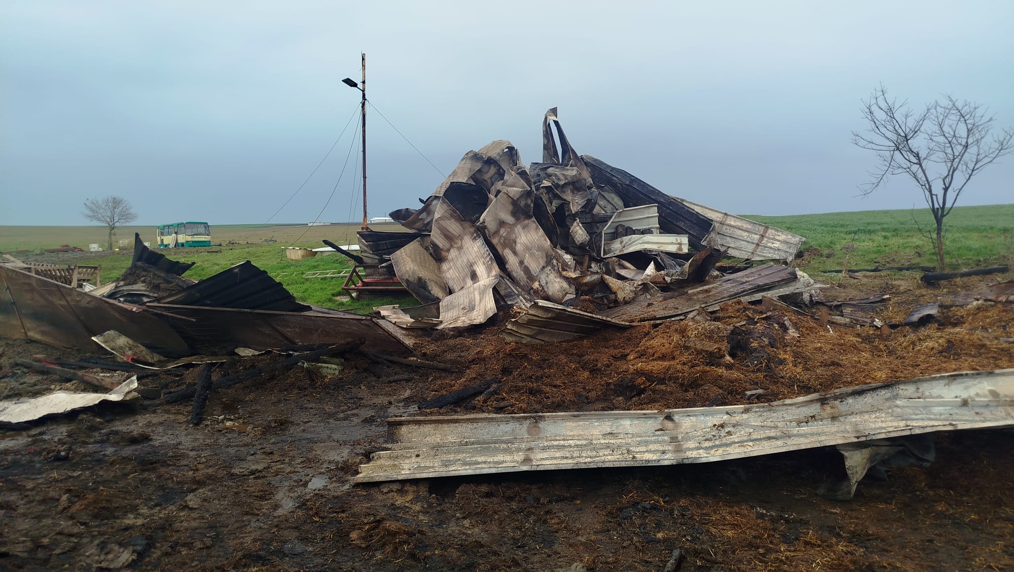 625410053 1226341149641864 4516869851642738095 N