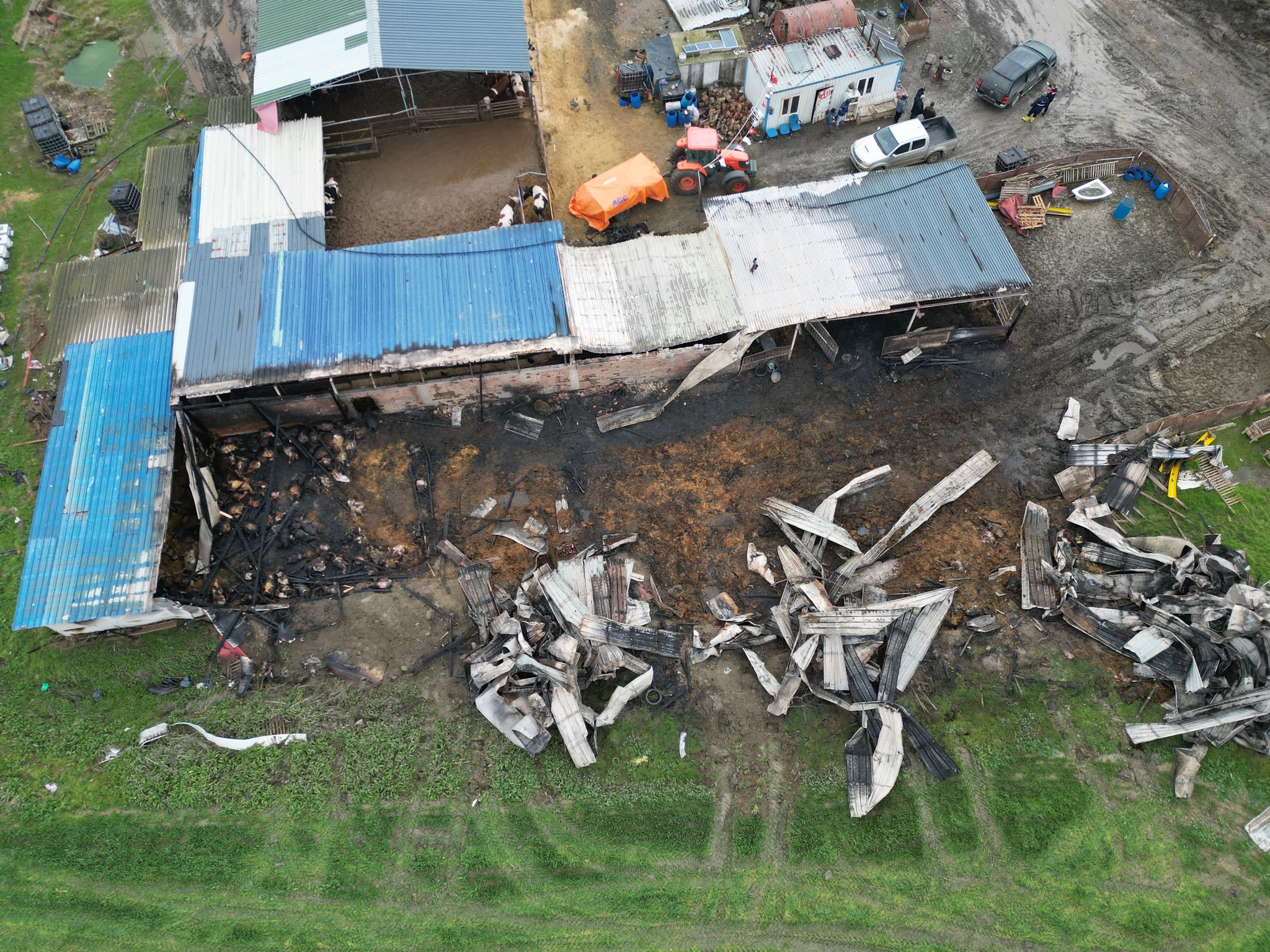 625668897 1226341406308505 8199619168694923353 N