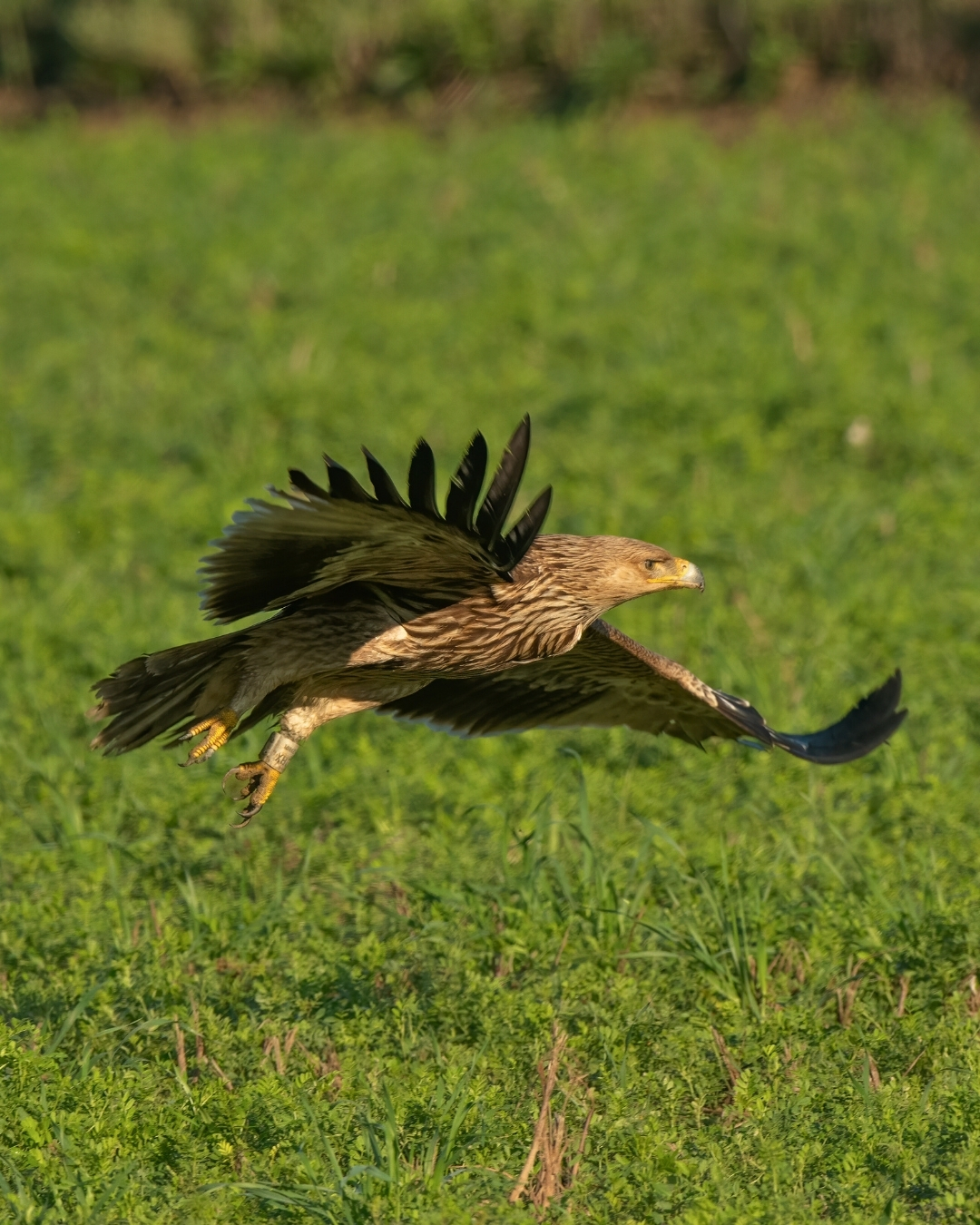 625753320 1344360234402573 7252831488706349494 N (1)