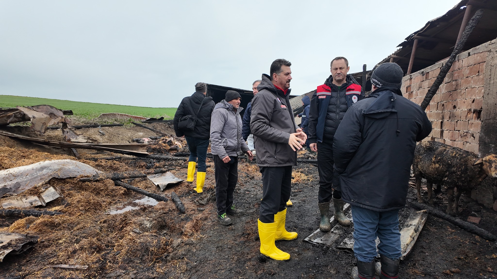 625872973 1226341402975172 8198047355516430657 N