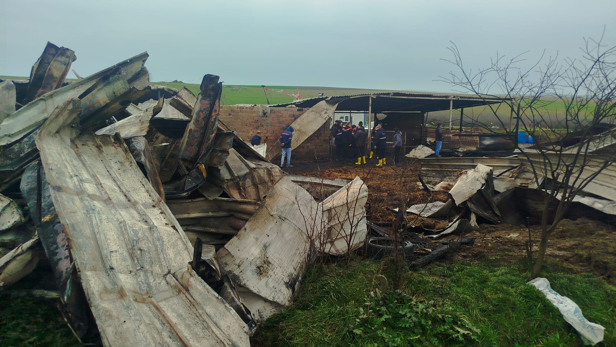 626034605 1226341102975202 475689069613958957 N