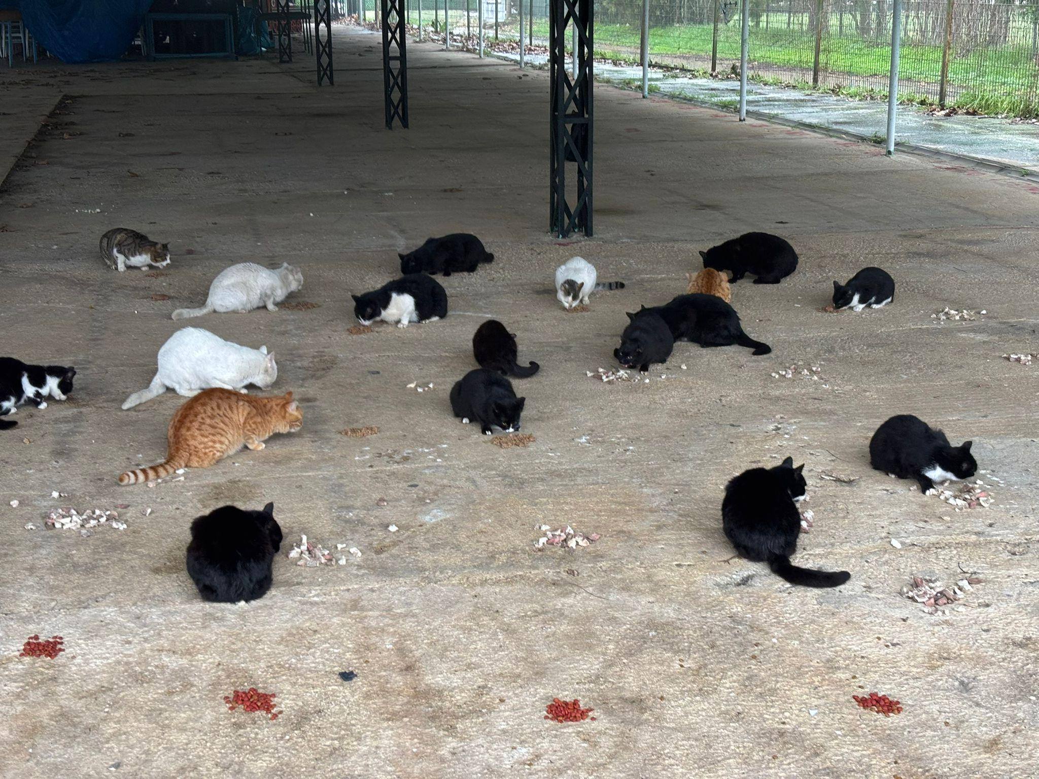 628085237 10164397310724759 826952351837088704 N