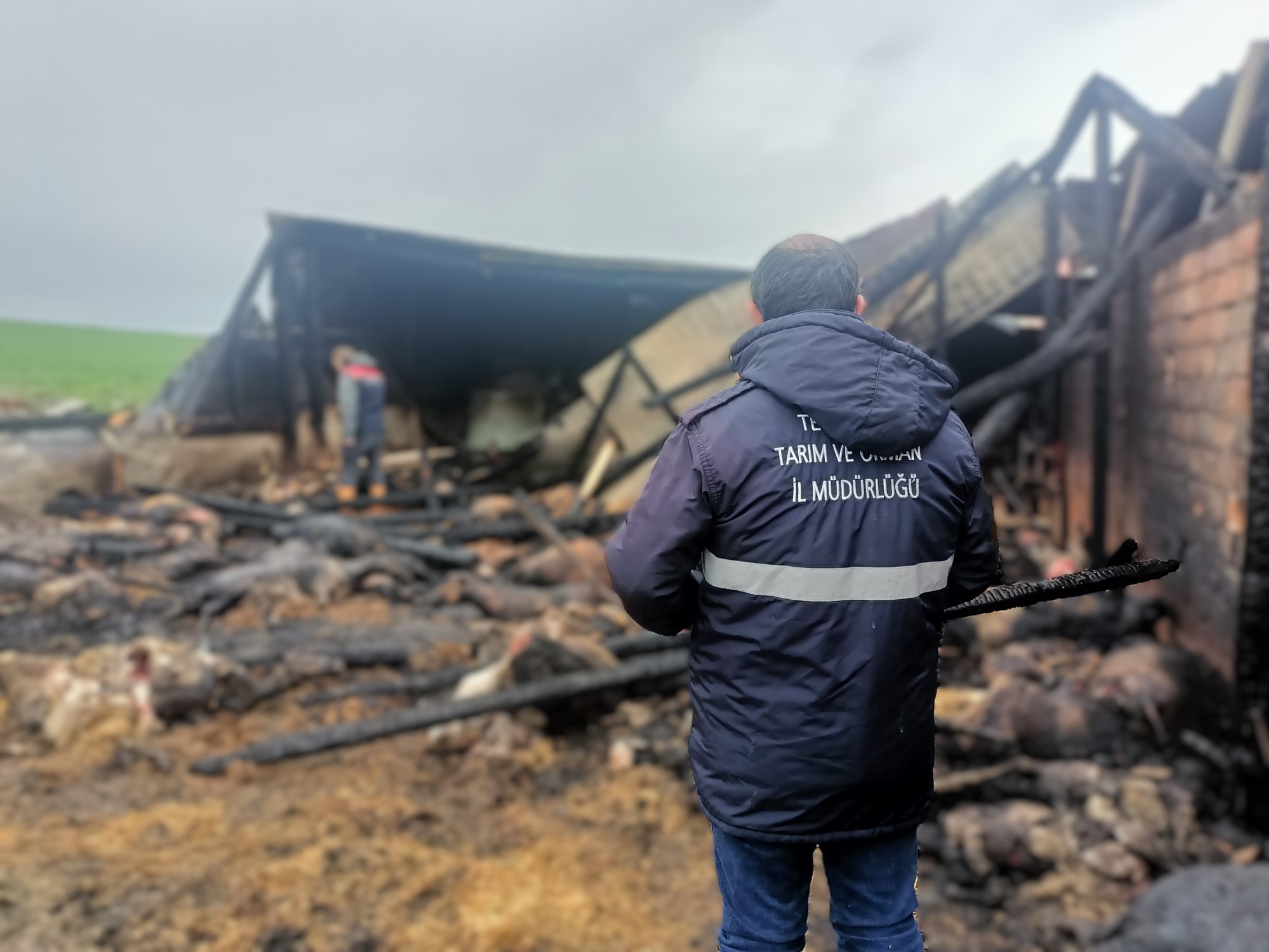 628362867 1226341096308536 3814228721673806161 N