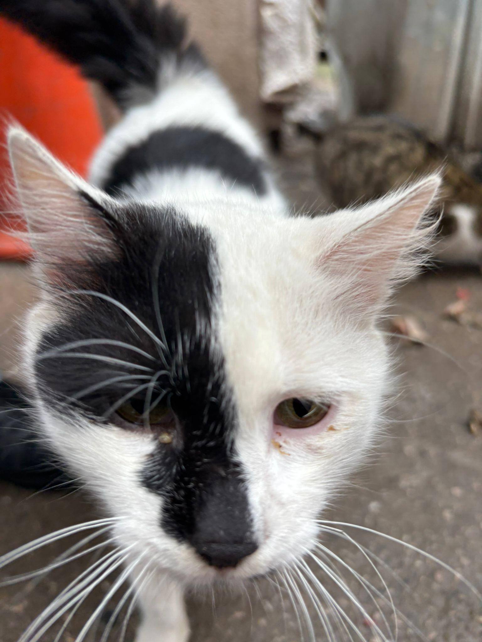 628427048 10164397310269759 561138722393283088 N