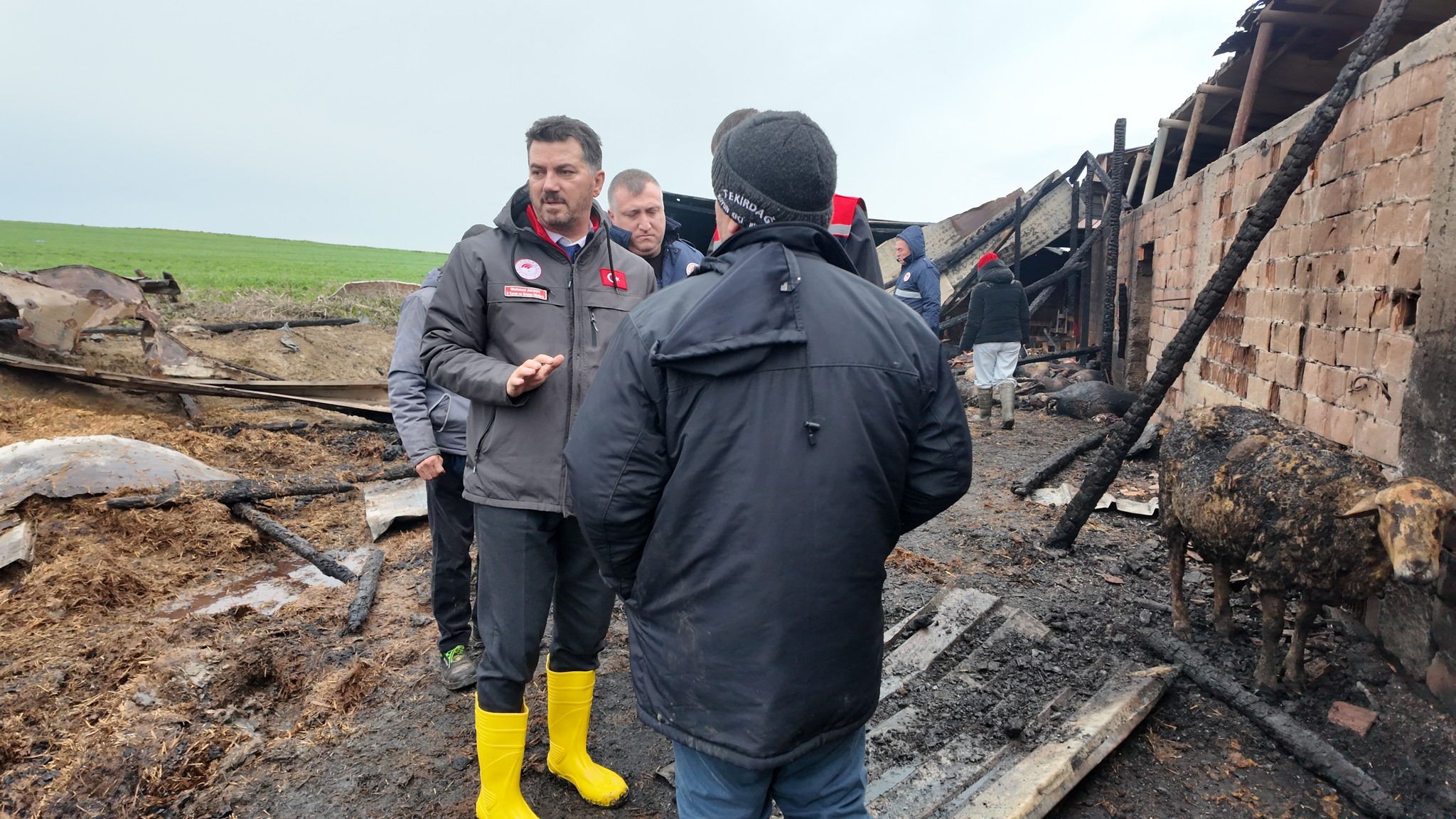 628476730 1226341376308508 7668684573805871560 N