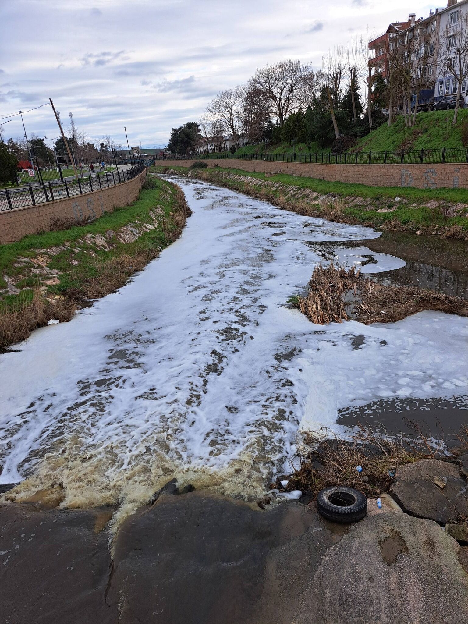 628967070 1481993203930307 425674560527360522 N