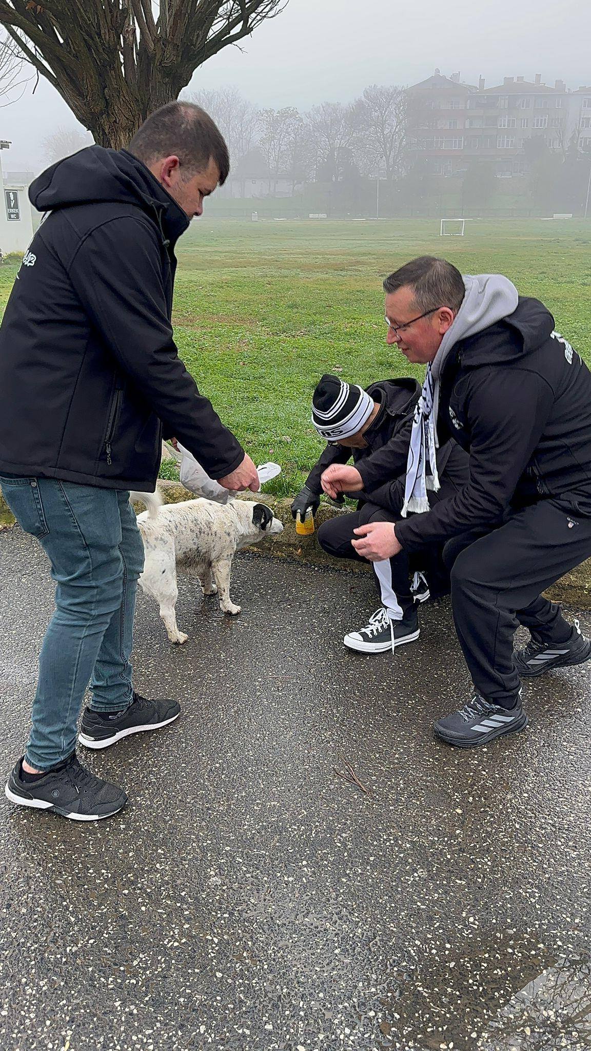 629343408 10164397310844759 7981566188674202471 N