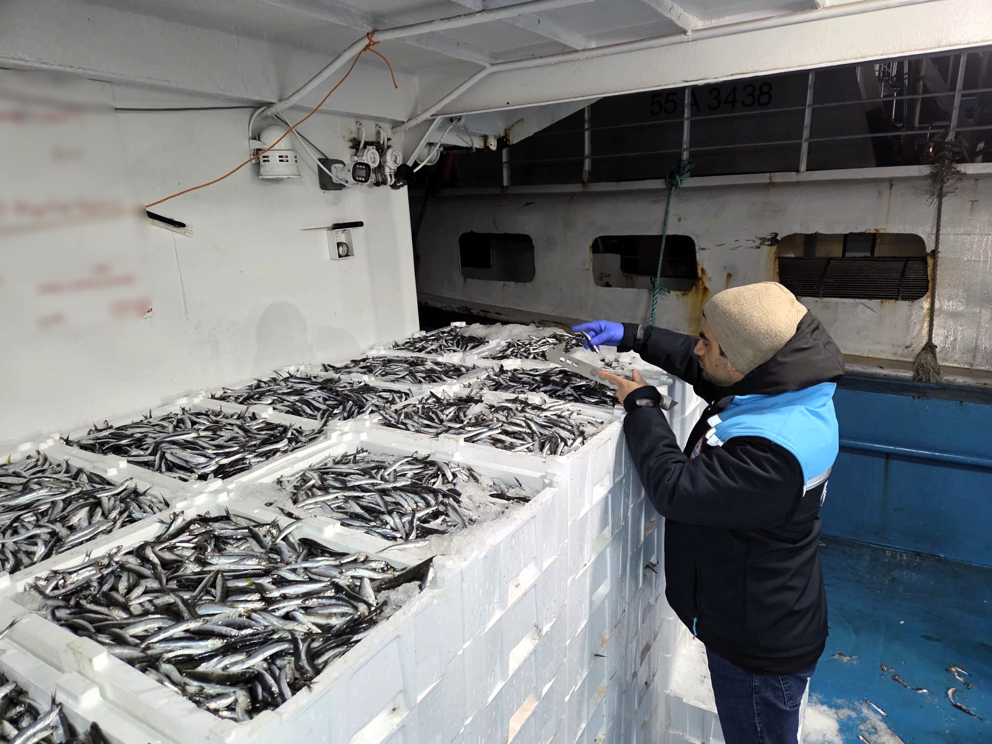 630030500 1363693002439028 7757410776749001209 N