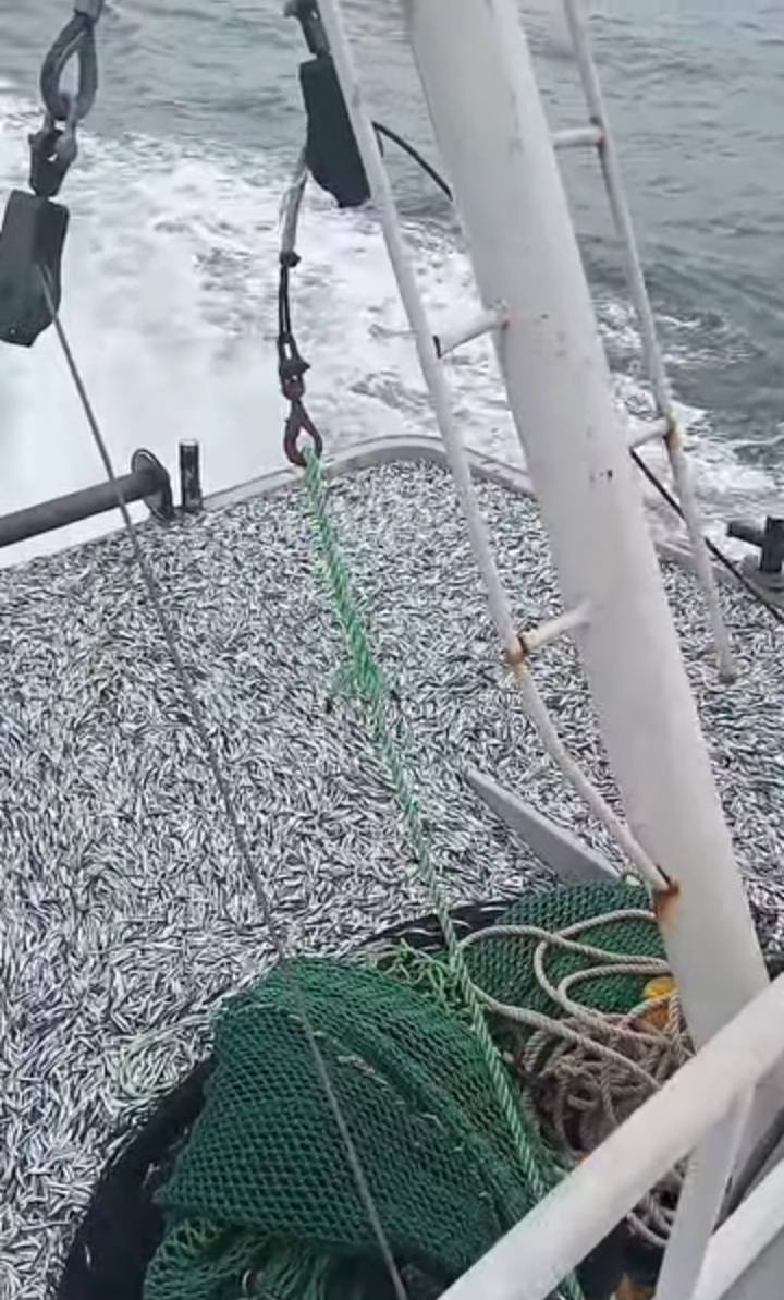 633409302 1506944744771505 1157639264080141065 N