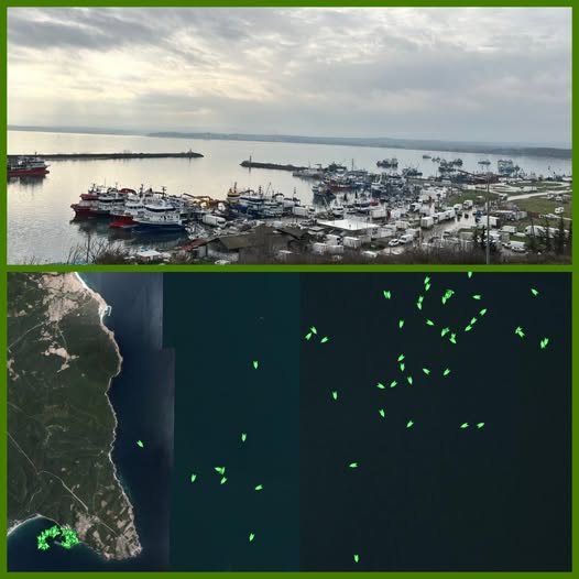 633853445 1363781115763550 8533479436085665458 N