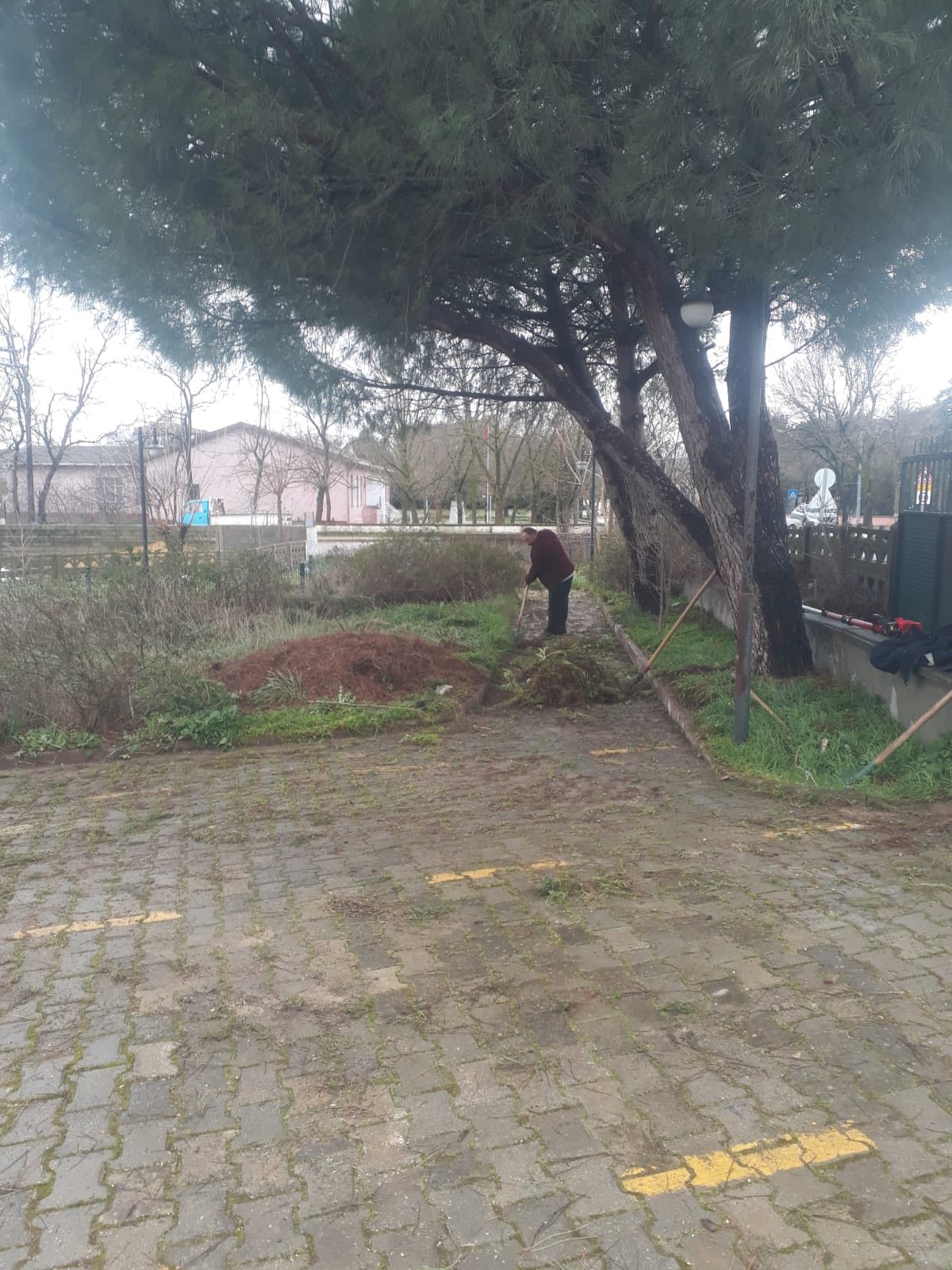 634031048 1236496118618091 1946514074433862511 N