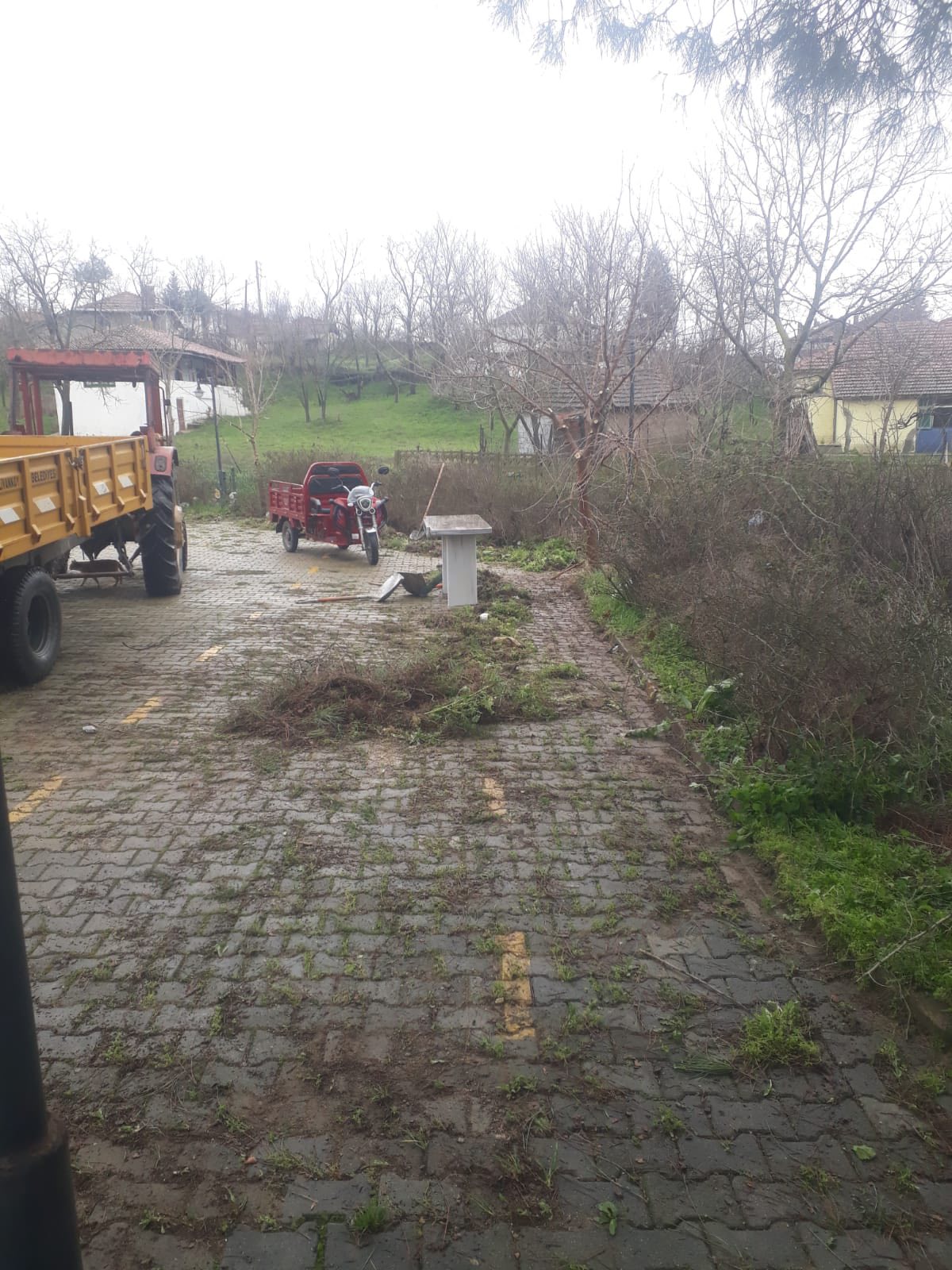 637269242 1236496051951431 8071634129410974584 N