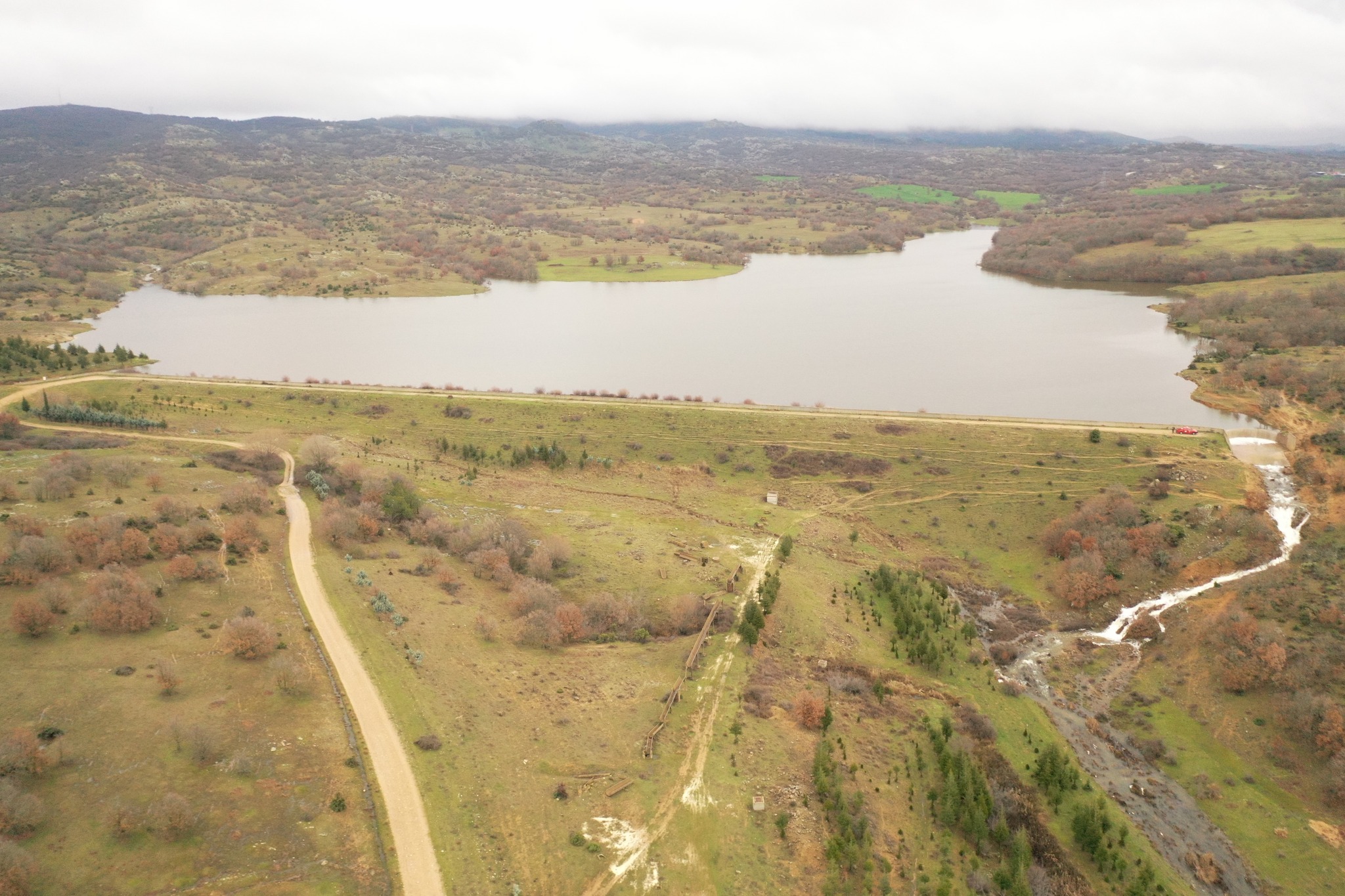 637488357 1756916309036274 1674426202627983578 N