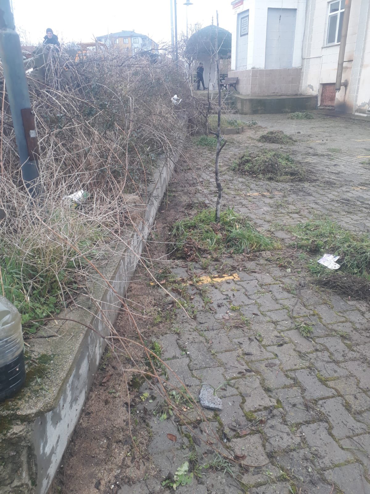 637500089 1236496138618089 2195600569514810615 N