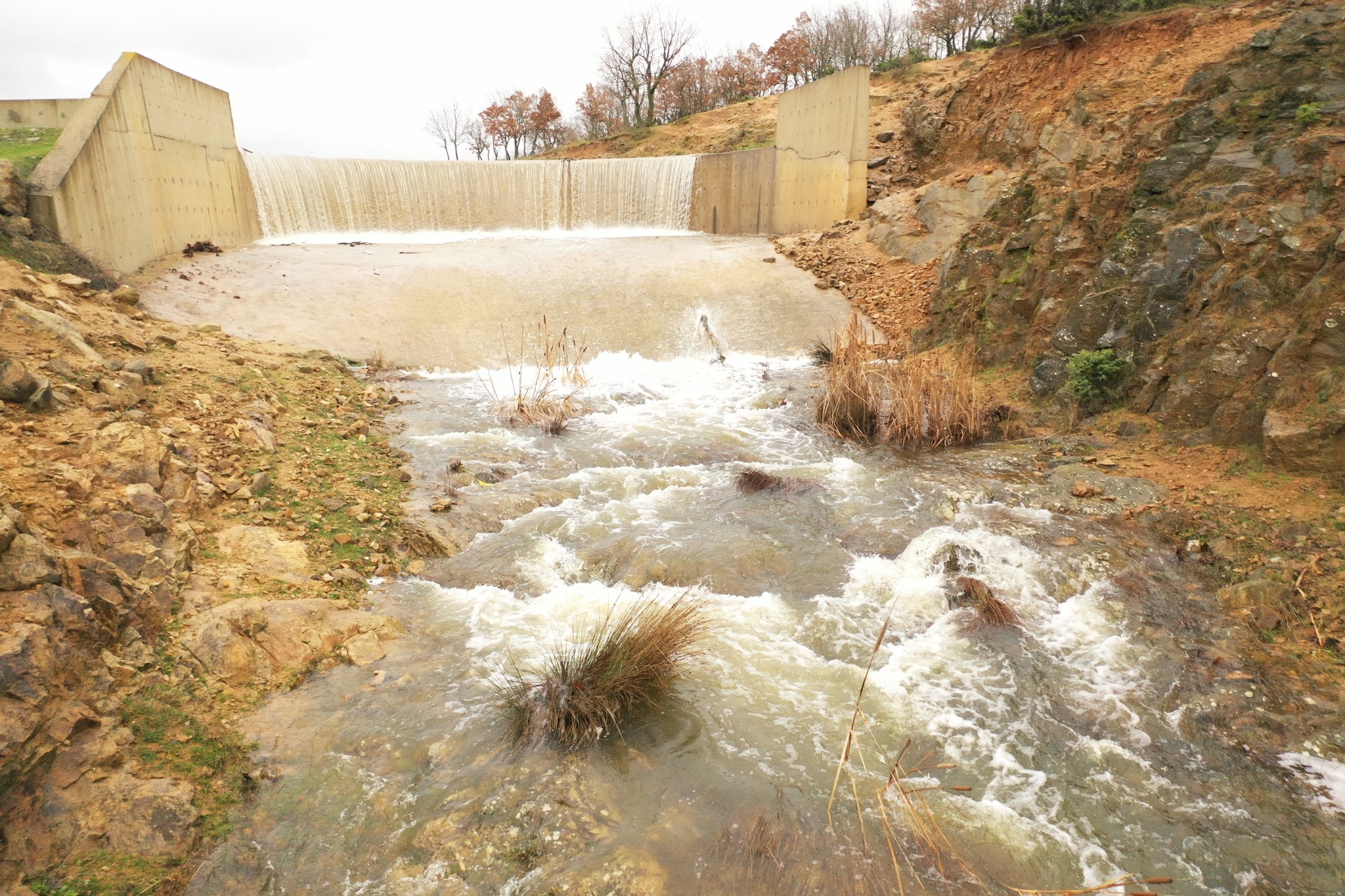 637570805 1756916419036263 5553016990888347879 N