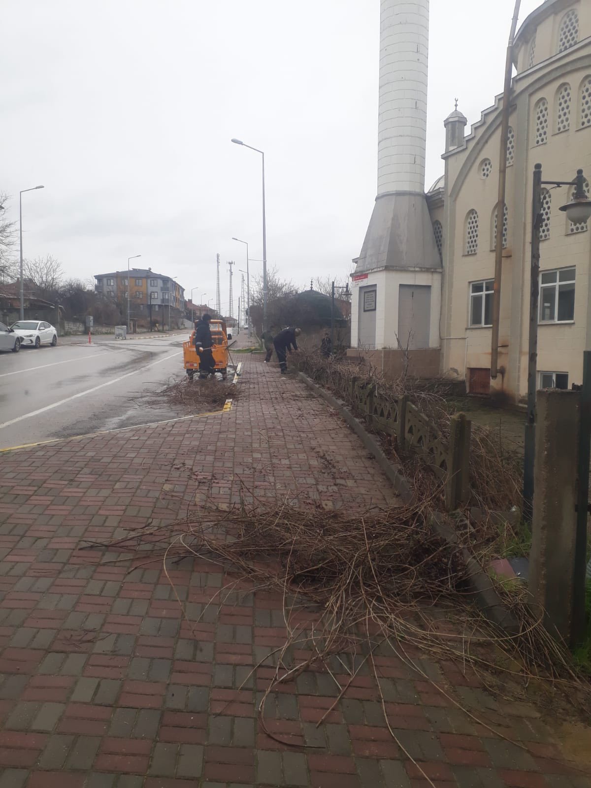 637892740 1236496101951426 8486267727821420765 N