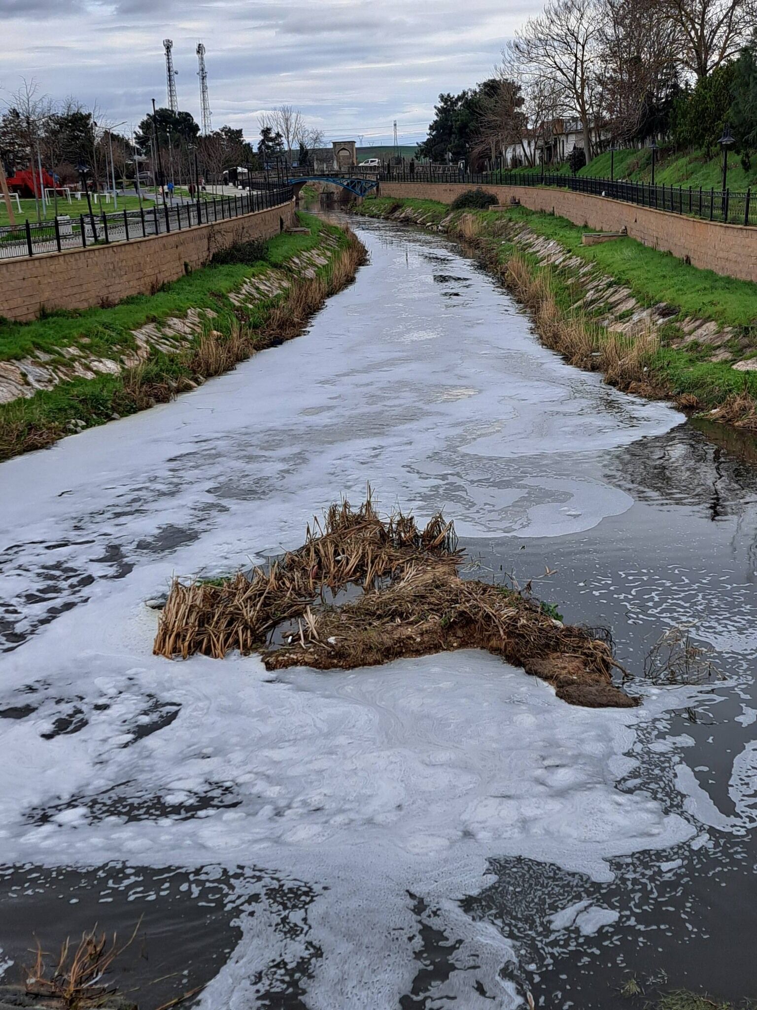 639098679 1481993340596960 7365539529473134719 N