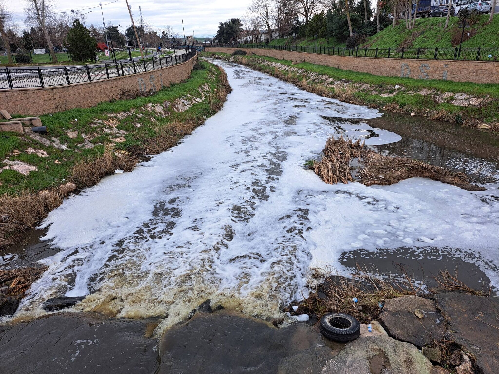 641437517 1481993257263635 3591898807339409044 N